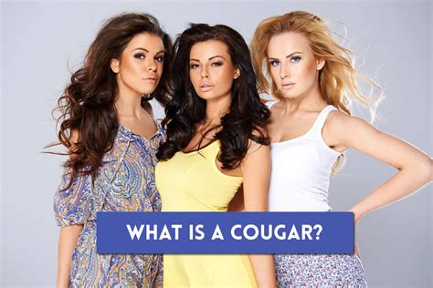 cougar women definition